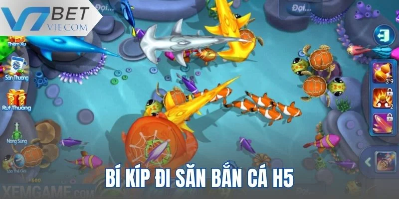 Bí kíp đi săn bách phát bách trúng mà ngư thủ nên biết