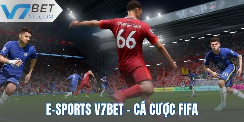 Cá cược FIFA được nhiều hội viên ưu tiên lựa chọn